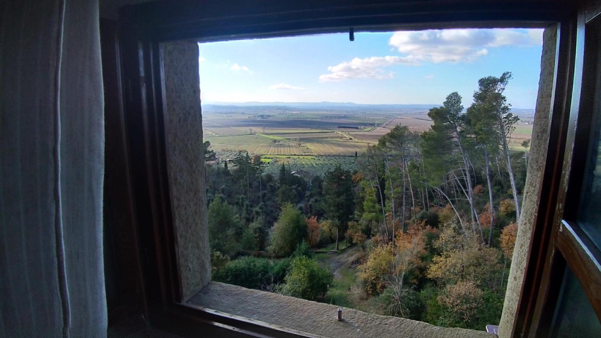 Suite Superior